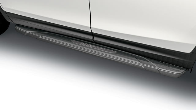 Black Running Boards