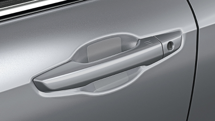 Door Handle Film w/PT Solution