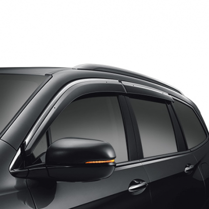 Door Visors