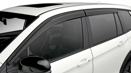Door Visors