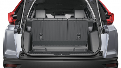 Seat Back Protector