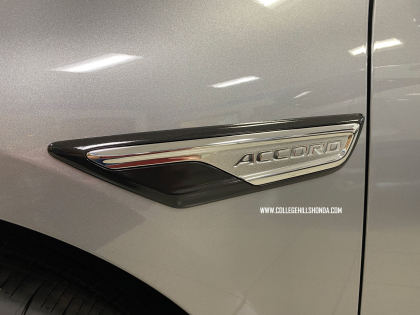 Black Front Fender Garnish