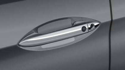 Door Handle Film w/PT Solution