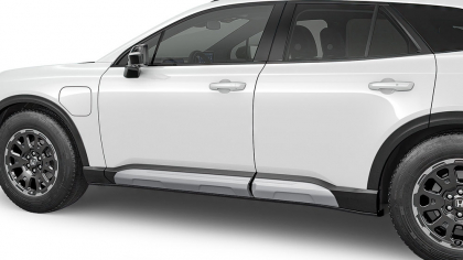 Side Lower Trim