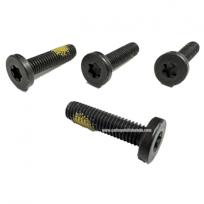 Special Bolt 4-Pack (M6x25)