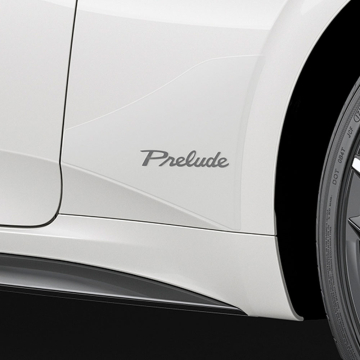 Fender Protection Film