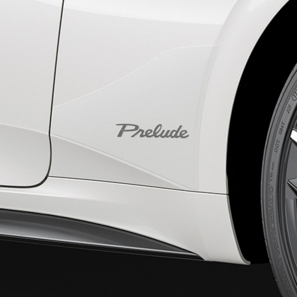 Fender Protection Film