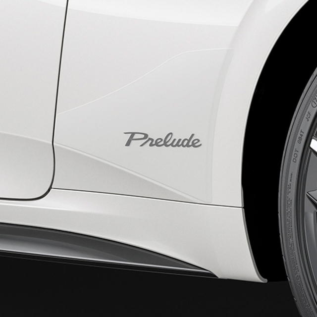 Fender Protection Film