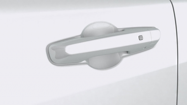 Door Handle Film w/PT Solution