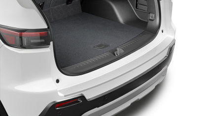 Bumper Applique