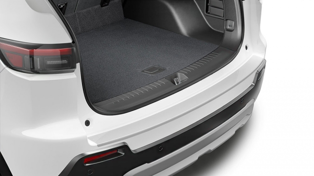 Bumper Applique