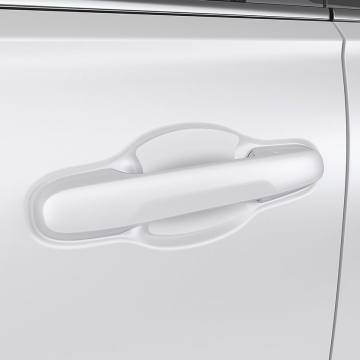 Door Handle Film w/PT Solution