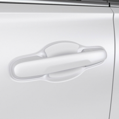 Door Handle Film w/PT Solution