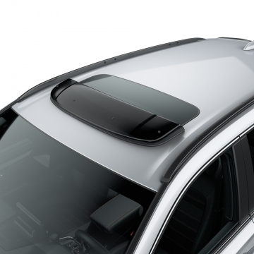 Moonroof Visor