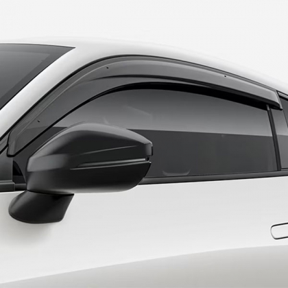 Door Visors