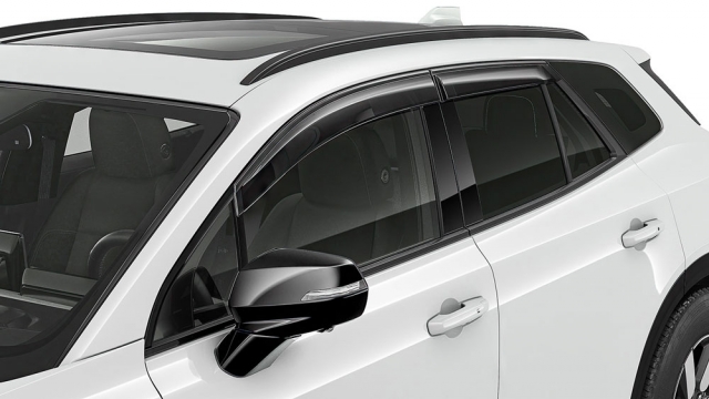 Door Visors