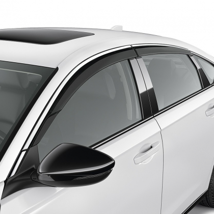 Door Visors