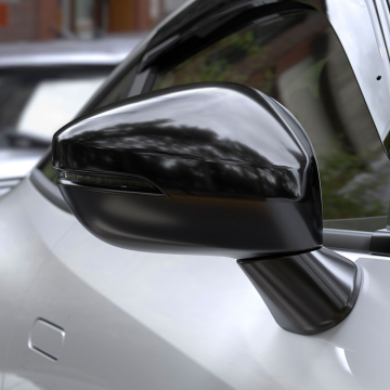 Black Door Mirror Covers (pair)