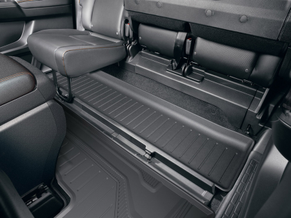 In-Cabin Cargo Tray