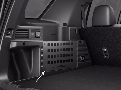 MOLLE Panel Set