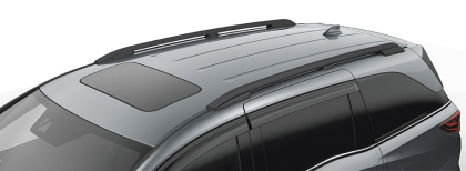 Black Roof Rails