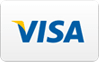 Visa Credit Card